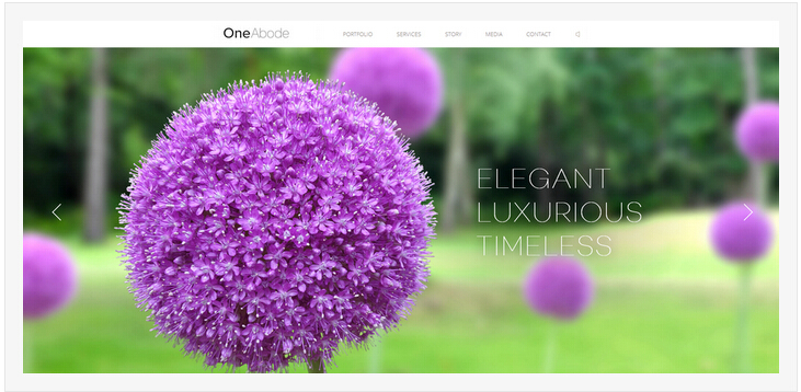 �L���زľW(w��ng)վ�OӋ